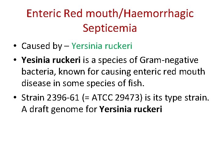 Enteric Red mouth/Haemorrhagic Septicemia • Caused by – Yersinia ruckeri • Yesinia ruckeri is