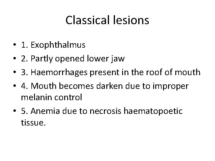 Classical lesions 1. Exophthalmus 2. Partly opened lower jaw 3. Haemorrhages present in the