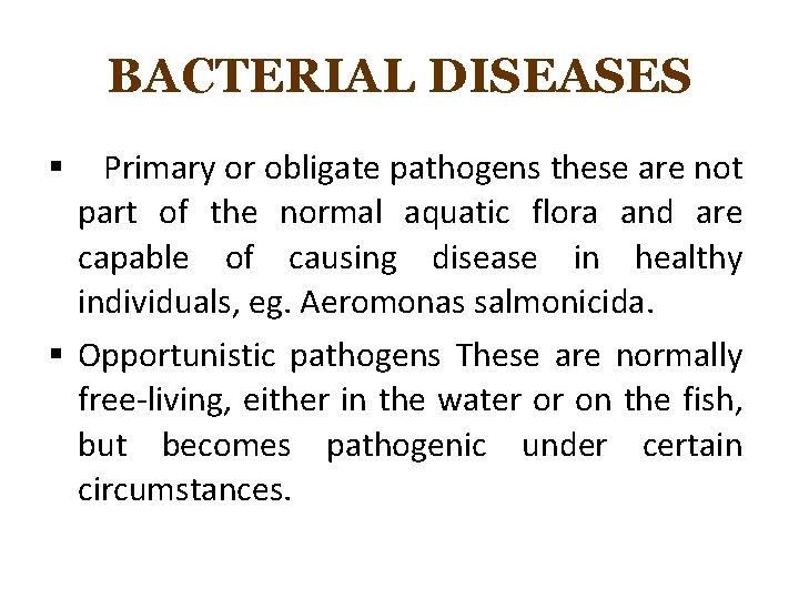 BACTERIAL DISEASES Primary or obligate pathogens these are not part of the normal aquatic
