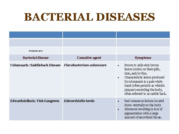 BACTERIAL DISEASES diseases are: Bacterial disease Columnaris/ Saddleback Disease Causative agent Flavobacterium columnare Symptoms