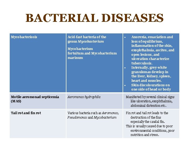 BACTERIAL DISEASES Mycobacteriosis Acid-fast bacteria of the genus Mycobacterium fortuitum and Mycobacterium marinum Anorexia,