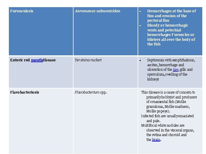 Furunculosis Aeromonas salmonicidae Enteric red mouthdisease Yersinina ruckeri Flavobacteriosis Flavobacterium spp. Hemorrhages at the