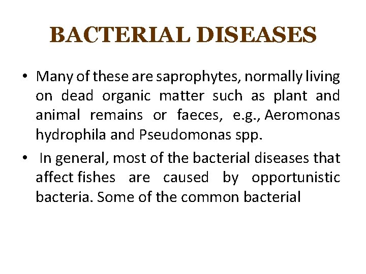 BACTERIAL DISEASES • Many of these are saprophytes, normally living on dead organic matter