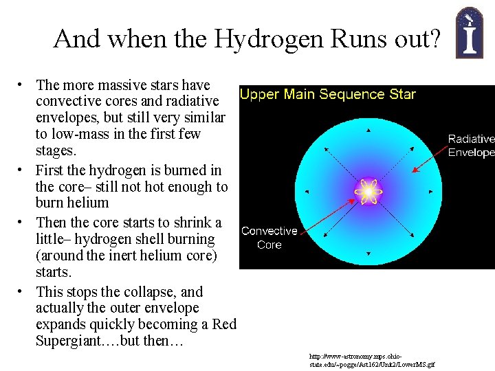 And when the Hydrogen Runs out? • The more massive stars have convective cores