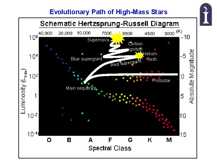 Evolutionary Path of High-Mass Stars Supernova Carbon ignition Blue supergiant Helium nt flash ia