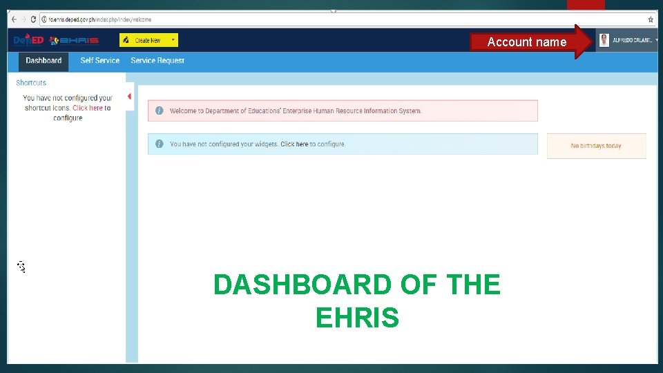 Account name DASHBOARD OF THE EHRIS 