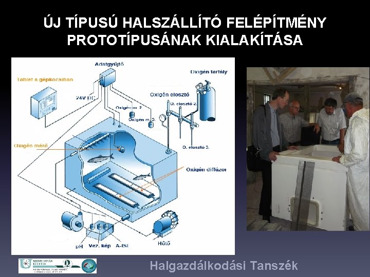 ÚJ TÍPUSÚ HALSZÁLLÍTÓ FELÉPÍTMÉNY PROTOTÍPUSÁNAK KIALAKÍTÁSA Halgazdálkodási Tanszék 