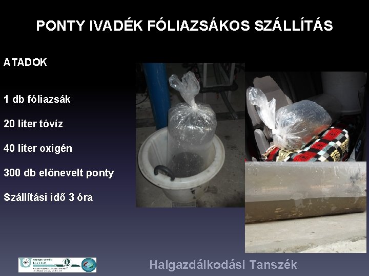 PONTY IVADÉK FÓLIAZSÁKOS SZÁLLÍTÁS ATADOK 1 db fóliazsák 20 liter tóvíz 40 liter oxigén