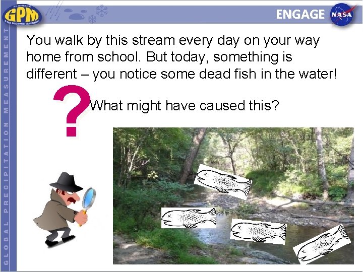 ENGAGE You walk by this stream every day on your way home from school.
