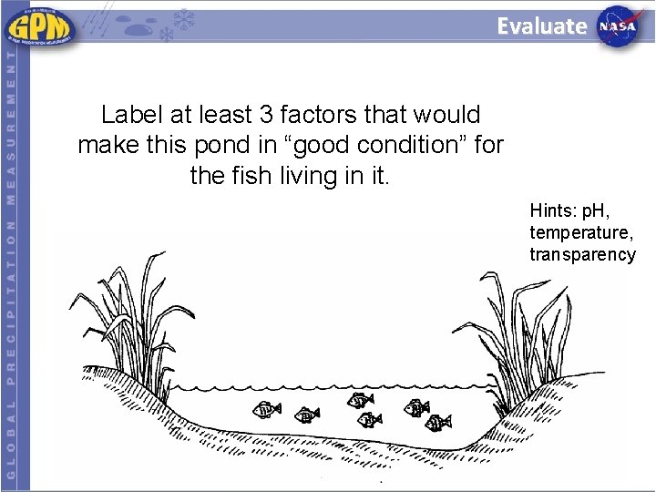 Evaluate Label at least 3 factors that would make this pond in “good condition”