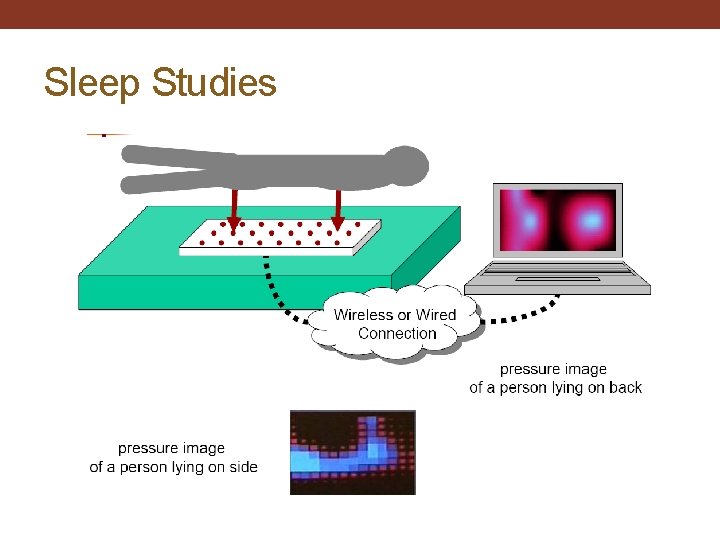 Sleep Studies 