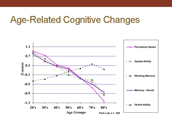Age-Related Cognitive Changes 