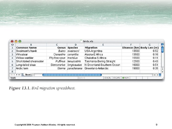 Copyright © 2006 Pearson Addison-Wesley. All rights reserved. 9 