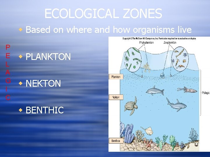 ECOLOGICAL ZONES w Based on where and how organisms live P E L A