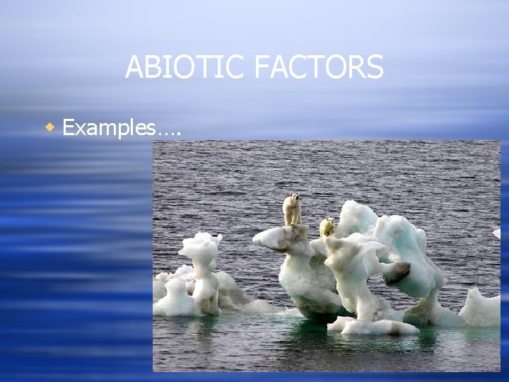 ABIOTIC FACTORS w Examples…. 