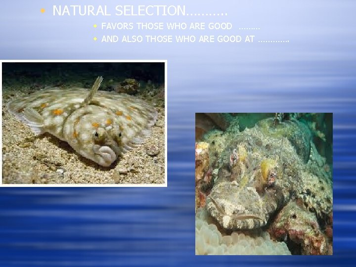w NATURAL SELECTION………. . w FAVORS THOSE WHO ARE GOOD ……… w AND ALSO