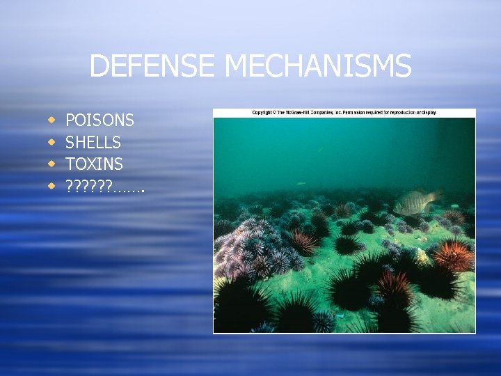 DEFENSE MECHANISMS w w POISONS SHELLS TOXINS ? ? ? ……. 