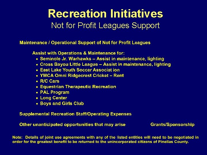 Recreation Initiatives Not for Profit Leagues Support 