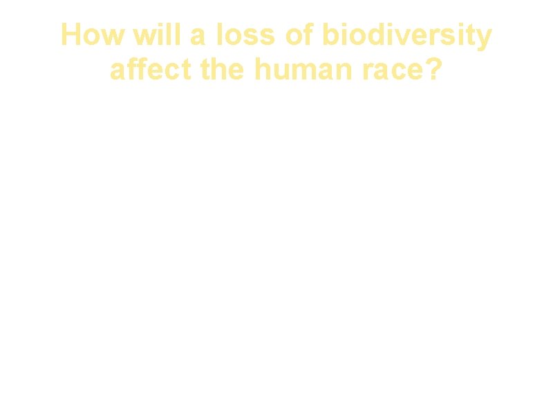How will a loss of biodiversity affect the human race? Humans will lose: 1)