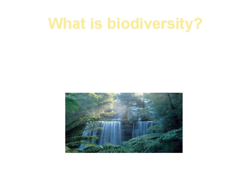 What is biodiversity? a. The number and variety of organisms found in a specific