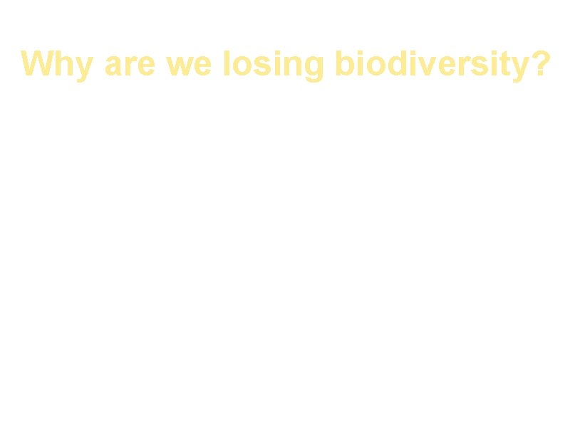 Why are we losing biodiversity? The number one cause of loss of biodiversity is