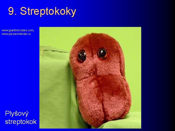 9. Streptokoky www. giantmicrobes. com, www. plysovimikrobi. cz Plyšový streptokok 