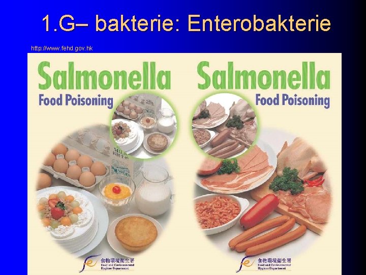 1. G– bakterie: Enterobakterie http: //www. fehd. gov. hk 