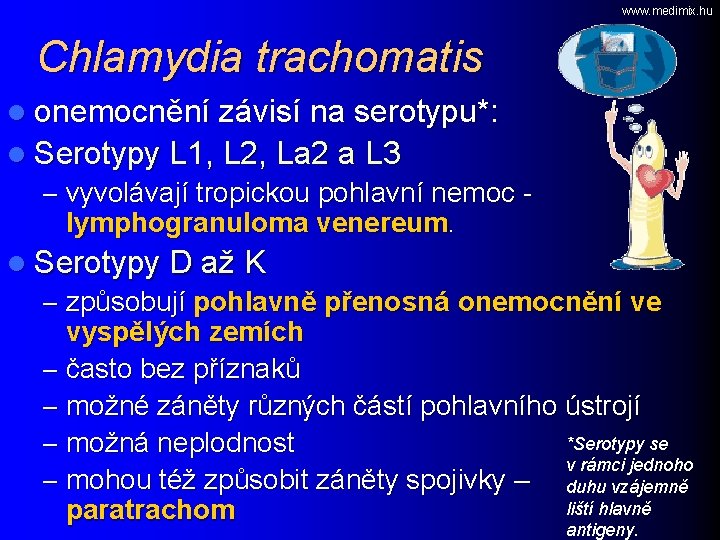www. medimix. hu Chlamydia trachomatis l onemocnění závisí na serotypu*: l Serotypy L 1,