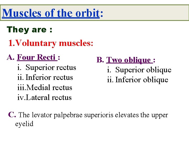 Muscles of the orbit: They are : 1. Voluntary muscles: A. Four Recti :