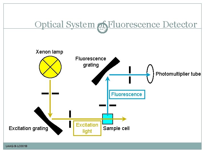 Optical System of 125 Fluorescence Detector Xenon lamp Fluorescence grating Photomultiplier tube Fluorescence Excitation