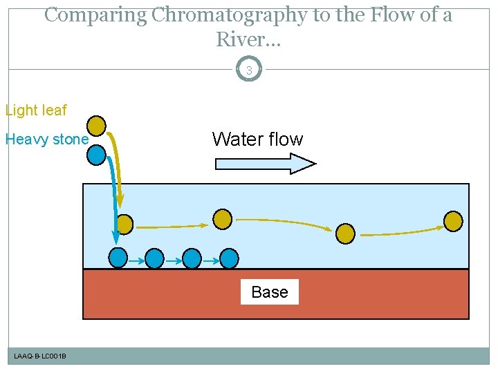 Comparing Chromatography to the Flow of a River. . . 3 Light leaf Heavy