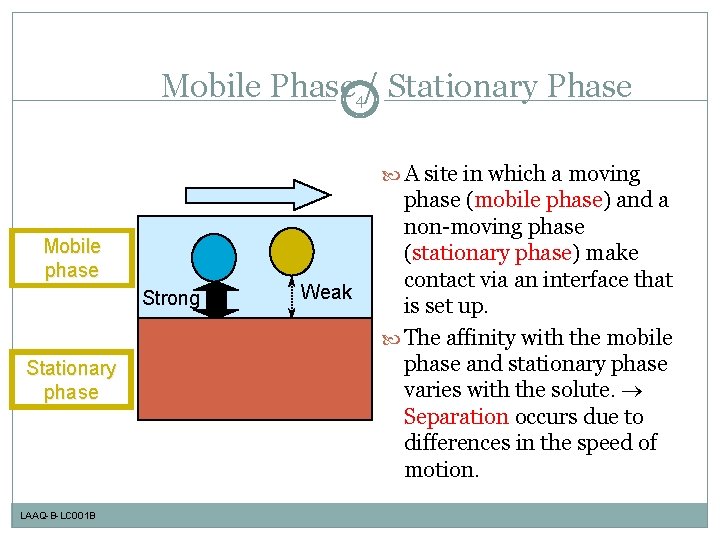 Mobile Phase 4/ Stationary Phase A site in which a moving Mobile phase Strong