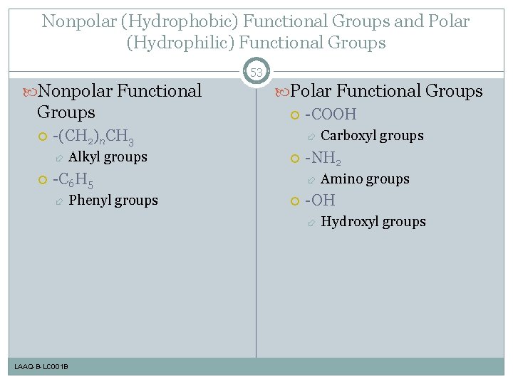 Nonpolar (Hydrophobic) Functional Groups and Polar (Hydrophilic) Functional Groups 53 Nonpolar Functional Groups -(CH