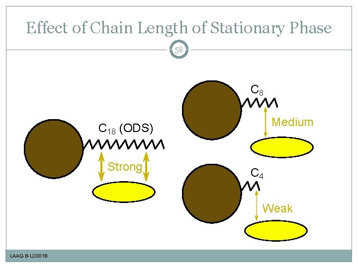 Effect of Chain Length of Stationary Phase 58 C 8 Medium C 18 (ODS)