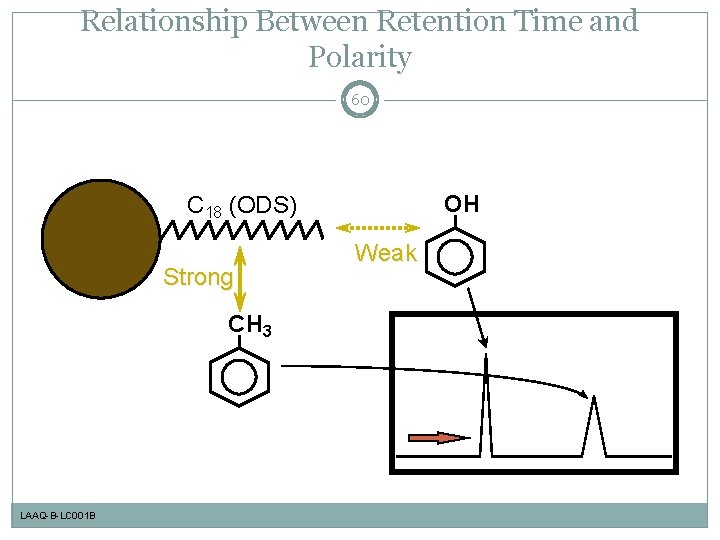 Relationship Between Retention Time and Polarity 60 OH C 18 (ODS) Strong CH 3