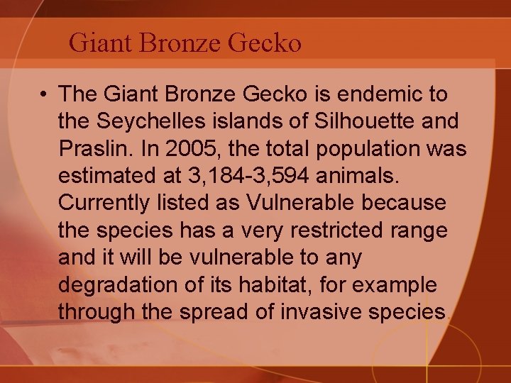 Giant Bronze Gecko • The Giant Bronze Gecko is endemic to the Seychelles islands