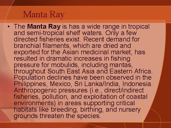 Manta Ray • The Manta Ray is has a wide range in tropical and