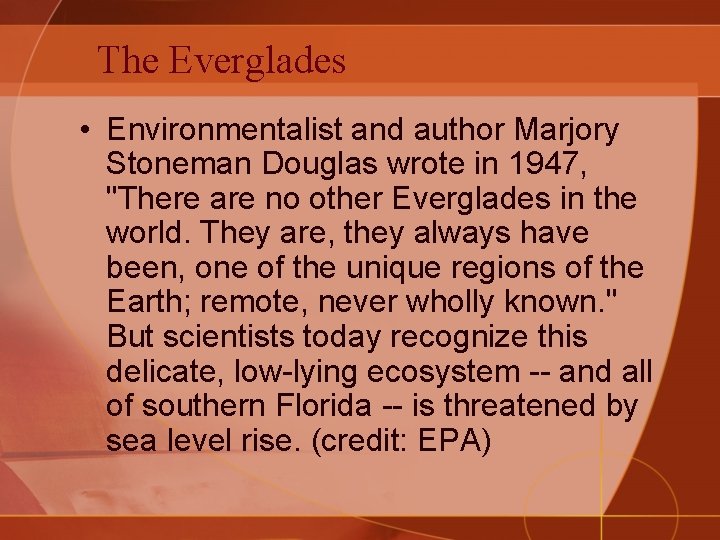 The Everglades • Environmentalist and author Marjory Stoneman Douglas wrote in 1947, "There are