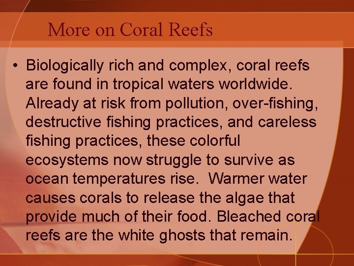 More on Coral Reefs • Biologically rich and complex, coral reefs are found in
