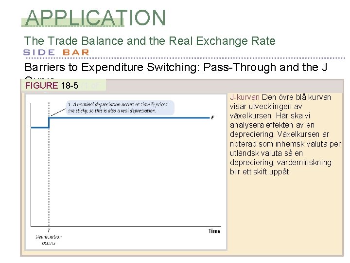 APPLICATION The Trade Balance and the Real Exchange Rate Barriers to Expenditure Switching: Pass-Through