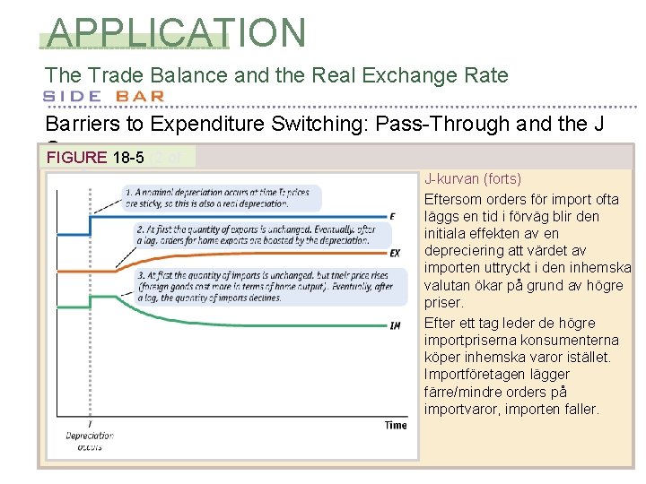 APPLICATION The Trade Balance and the Real Exchange Rate Barriers to Expenditure Switching: Pass-Through