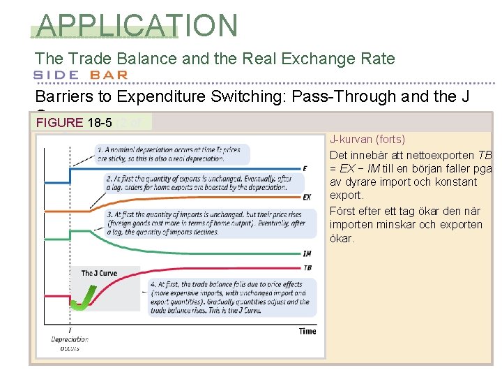 APPLICATION The Trade Balance and the Real Exchange Rate Barriers to Expenditure Switching: Pass-Through