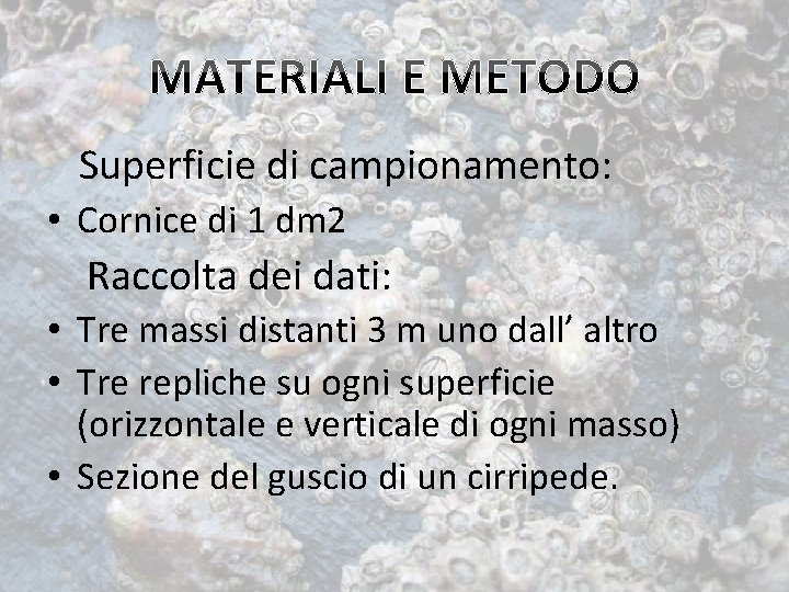 Superficie di campionamento: • Cornice di 1 dm 2 Raccolta dei dati: • Tre