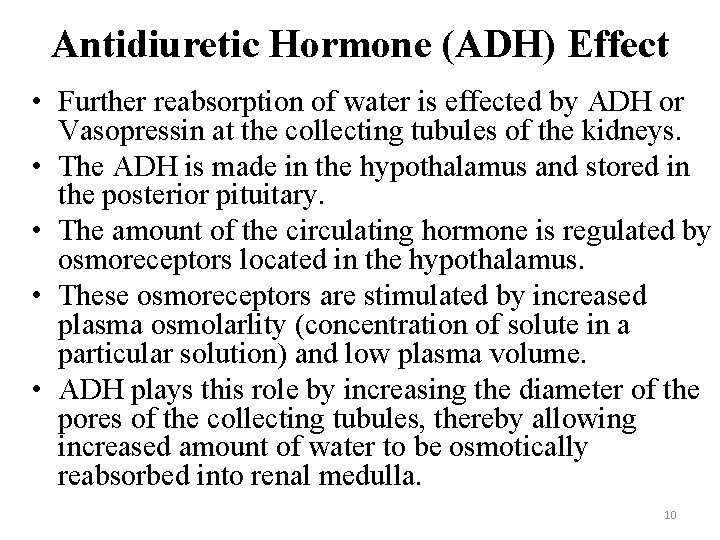 Antidiuretic Hormone (ADH) Effect • Further reabsorption of water is effected by ADH or