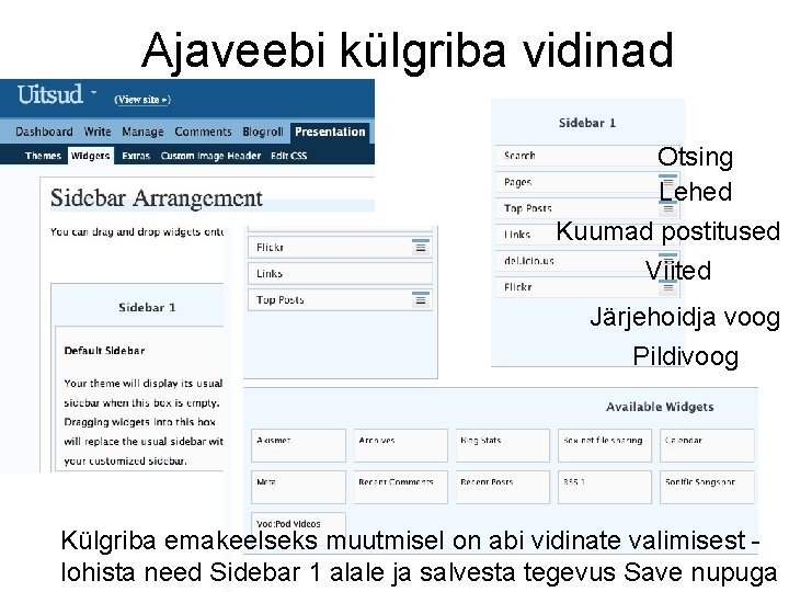 Ajaveebi külgriba vidinad Otsing Lehed Kuumad postitused Viited Järjehoidja voog Pildivoog Külgriba emakeelseks muutmisel