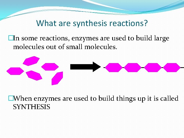 What are synthesis reactions? �In some reactions, enzymes are used to build large molecules What are synthesis reactions? �In some reactions, enzymes are used to build large molecules
