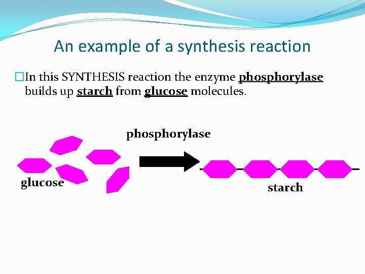 An example of a synthesis reaction �In this SYNTHESIS reaction the enzyme phosphorylase builds An example of a synthesis reaction �In this SYNTHESIS reaction the enzyme phosphorylase builds