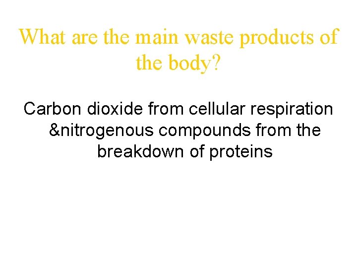 What are the main waste products of the body? Carbon dioxide from cellular respiration