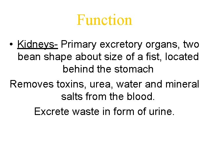 Function • Kidneys- Primary excretory organs, two bean shape about size of a fist,