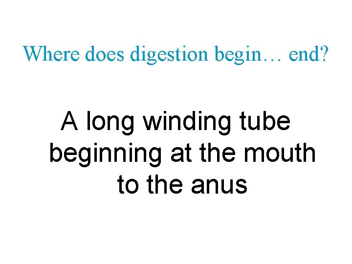 Where does digestion begin… end? A long winding tube beginning at the mouth to